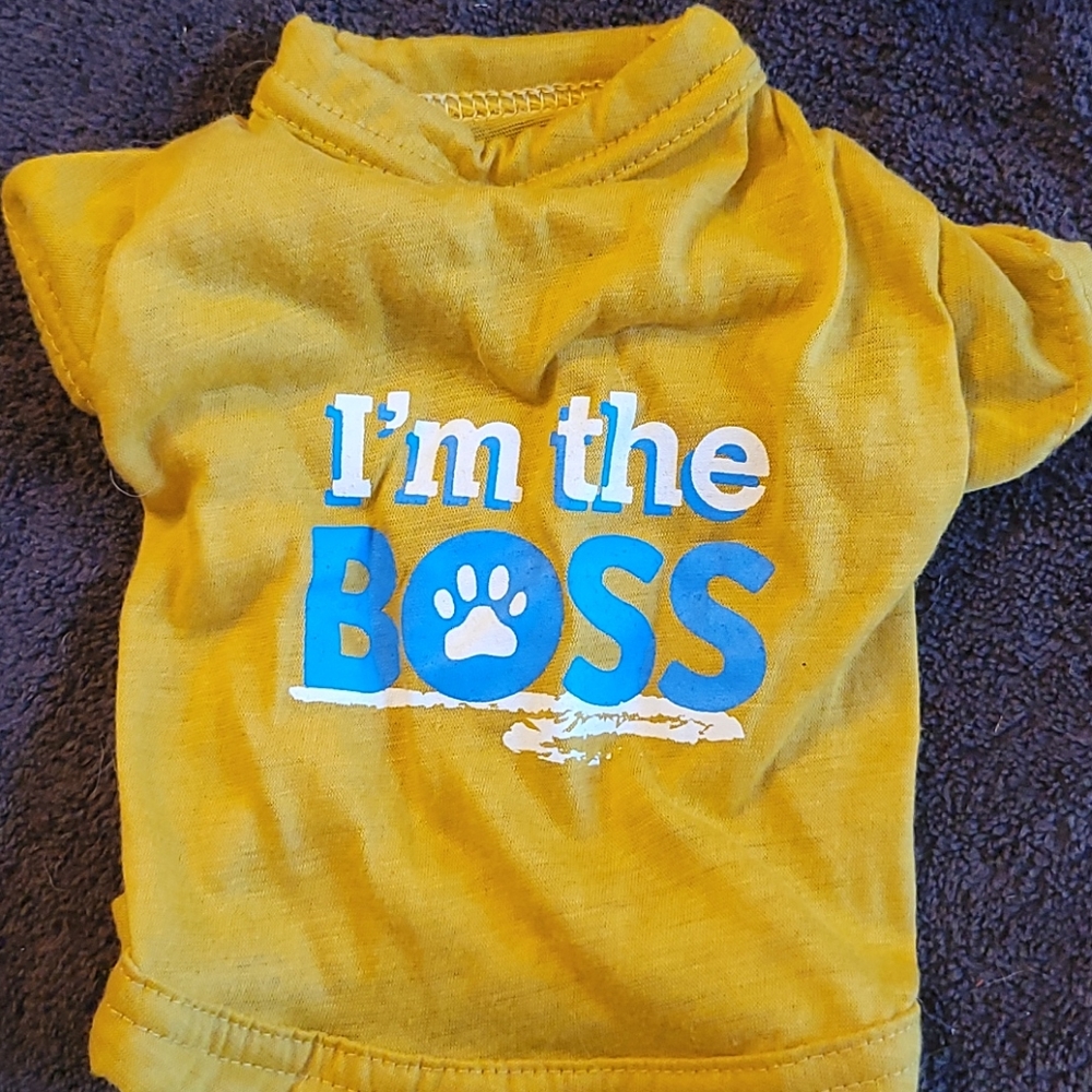 Small Dog I'm The Boss Shirt